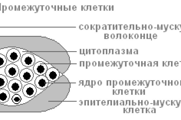 Оригинальный сайт кракен