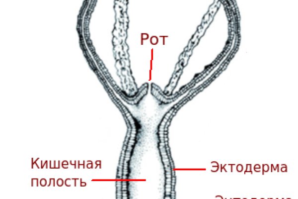 Кракен площадка зеркало