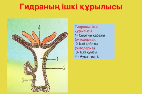 Кракен сайт даркнет официальный